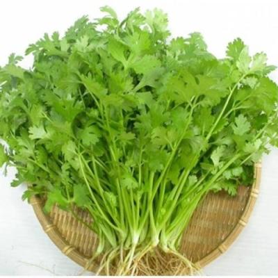 Rau củ